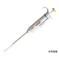 COMPMOTO占い
