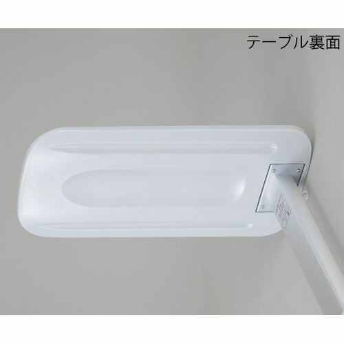 COMPMOTO占い