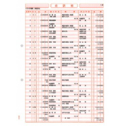 ソリマチ SR1291 仕訳帳 メーカー在庫品