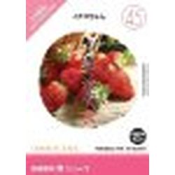 イメージランド 創造素材 食(45)イチゴちゃん(対応OS:WINMAC)(935668) 取り寄せ商品
