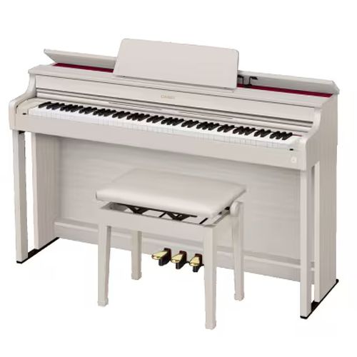 カシオ計算機（CASIO） CASIO AP-300GB メーカー在庫品