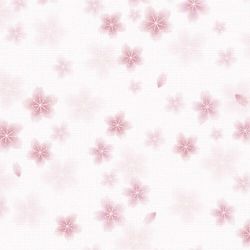 タカ印 包装紙　和ごころ桜　全判(49-2510) 取り寄せ商品