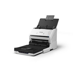 エプソン EPSON A4スキャナードッキングモデル/DS-531FB/DS-531＋GT-S660 取り寄せ商品
