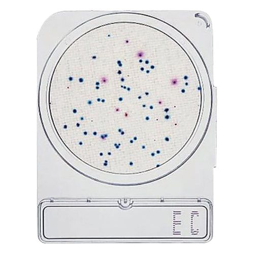 日水製薬 コンパクトドライ （大腸菌|大腸菌群数測定用/4枚×10袋） 06742EC (1箱(4 目安在庫\u003d○