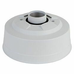 COMPMOTO占い