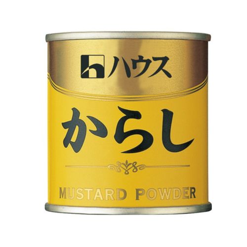 ハウス食品 ハウス からし 缶入 ３５ｇ（160個）(0000049715682 ×160) 取り寄せ商品