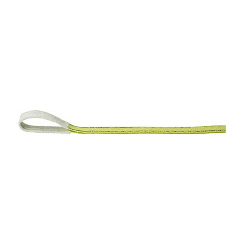 ＴＲＵＳＣＯ ポリエステルスリング JIS3等級 両端アイ形 25mm×6.0m 1本(TPS2560) 取り寄せ商品