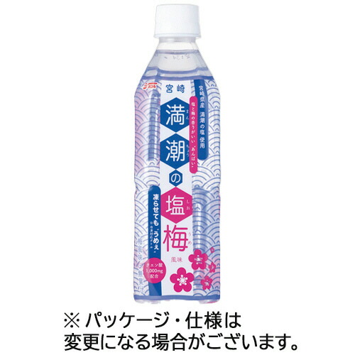 宮崎県農協果汁 サンA 満潮の塩梅 490mL ペットボトル 1セット(48本:24本×2ケース)(4908851108073) 取り寄せ商品