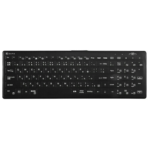 スリーアールソリューション 防水耐油式 有線キーボード ブラック 1台(3R-WOKB01BK) 取り寄せ商品