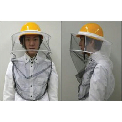 COMPMOTO占い