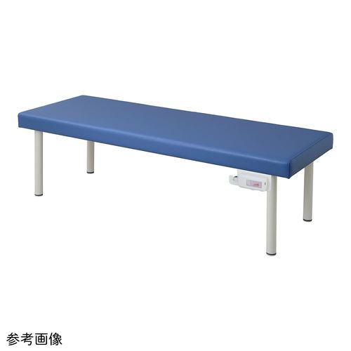 ナビス（アズワン） カラフル診察台（ホットマット付き）600×1800×500mm ライトブルー (1個)(9-1575-02) 取り寄せ商品