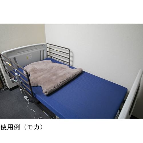 COMPMOTO占い