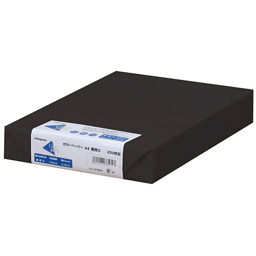長門屋商店 Color Paper A4 最厚口 黒 1セット(500枚:250枚×2冊)(4961411735850 x2) 目安在庫\u003d○ 17,371円