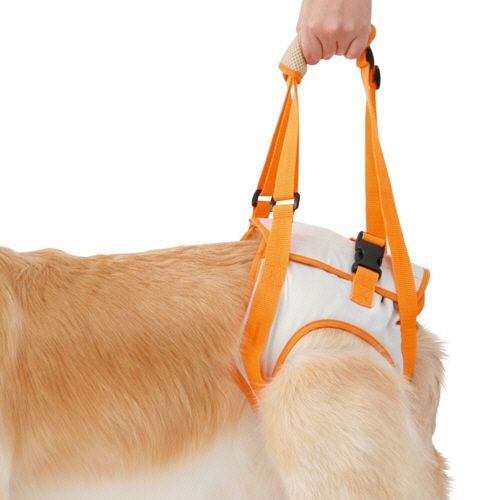ペティオ zuttone 老犬介護用 歩行補助ハーネス 後足用K 3L 1個(236310) 目安在庫\u003d○