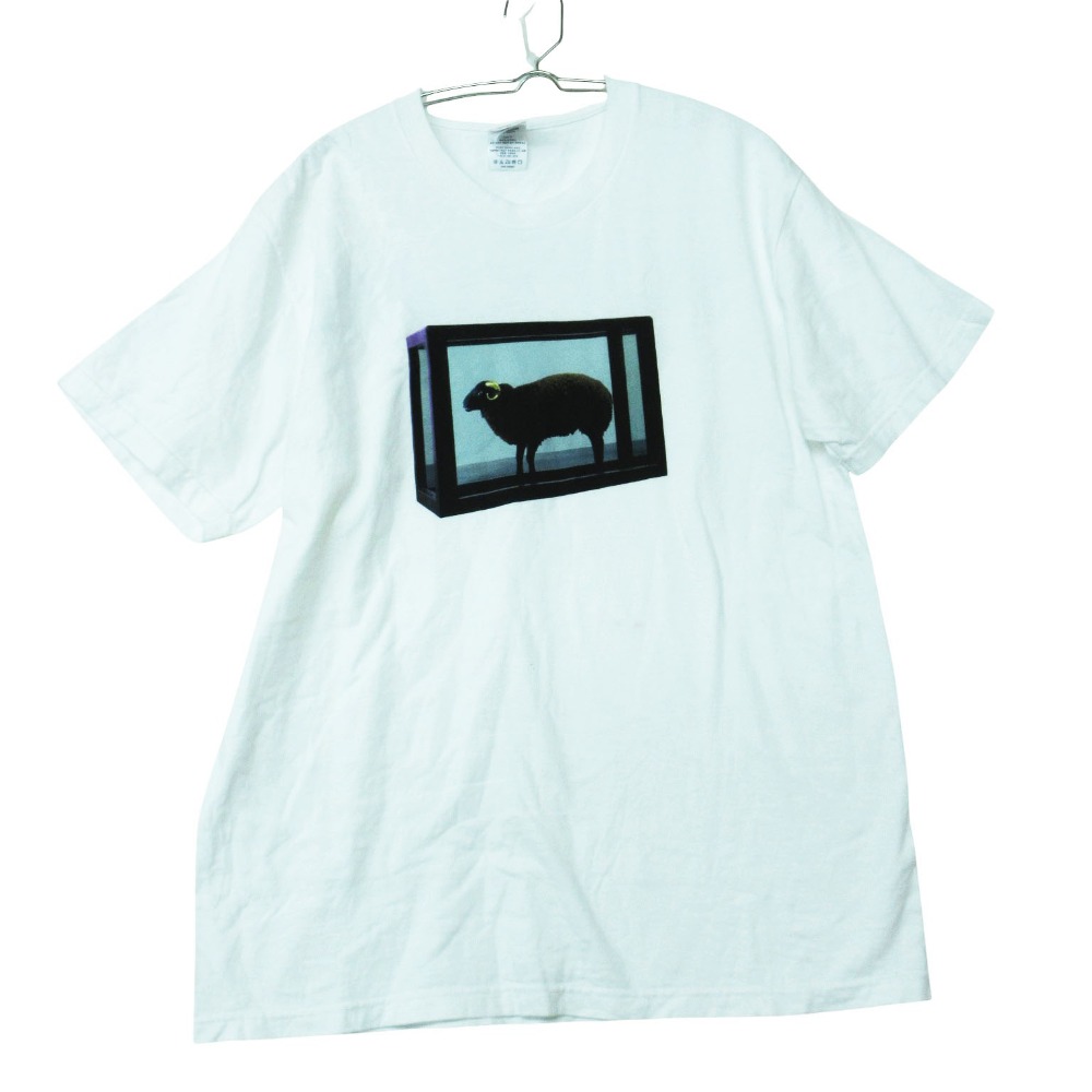 25SS Supreme シュプリーム 半袖Ｔシャツ damien hirst Tee トップス ホワイト M メンズ 【中古】
