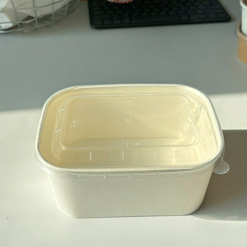 使い捨て 弁当箱 蓋付き添い人 持ち帰り 入れもの 夕ご飯ボックス席 紙製 耐油 耐水 手抜かり押しとどめる 御勤め用 陰電子領域相応う テイクアウト サラダ菜どんぶり鉢 デリボックス エコ原料品 消印付き添い人
