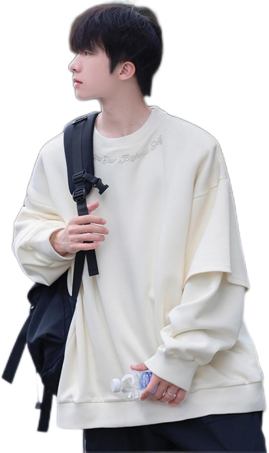 パーカー 日系 トレーナー 刺繍 メンズ フェイクレイヤード 長袖 クルーネック コットン 大きめ 小さめ 春服 秋服 オーバーサイズ 体型パカー コンフォート 韓国 レトロ 簡約 誕生日プレゼント|Nartooston