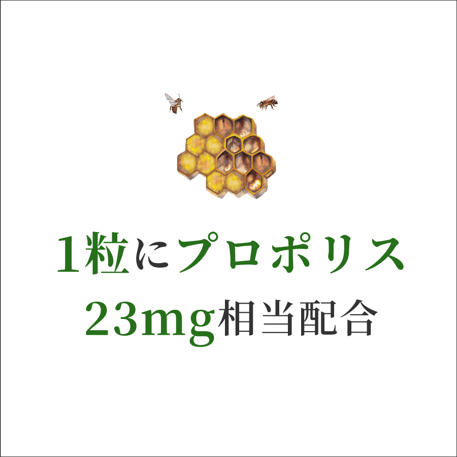 プロポリス マヌカハニー Umf 10 のど飴 クールミント味 40粒 コンビタ まとめ買い割引 楽天クーポン 個包装 キャンディ ギフト 喉ケアー ドロップ 父の日 ロゼンジ 携帯用 ニュージーランド 予約