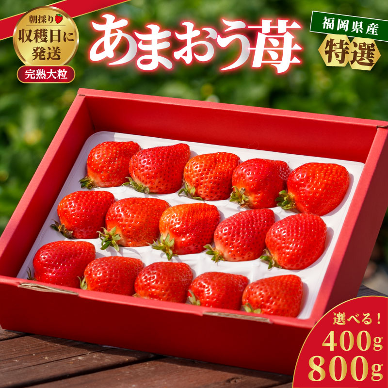 特選 あまおう 400g/800g