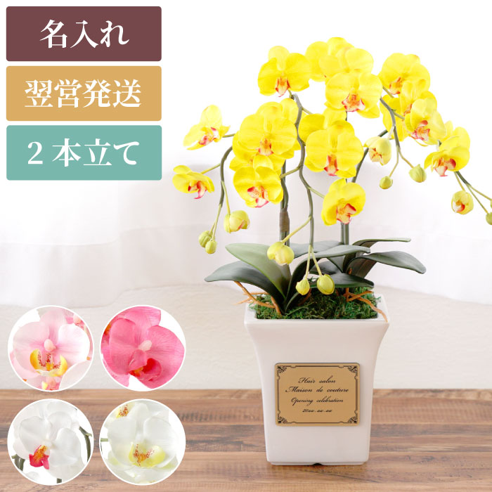 ネイルサロン 開店祝い サロン 光触媒 胡蝶蘭 お祝い 造花 2本 プレゼント 名入れ 送料無料 光触媒胡蝶蘭 2本立 おしゃれ かわいい 花 輝花 スタンド花 ミニ胡蝶蘭 黄色 白 赤 ピンク 名前入り 名入り ギフト 名いれ 名いり 開業祝い 開店 開業 祝い