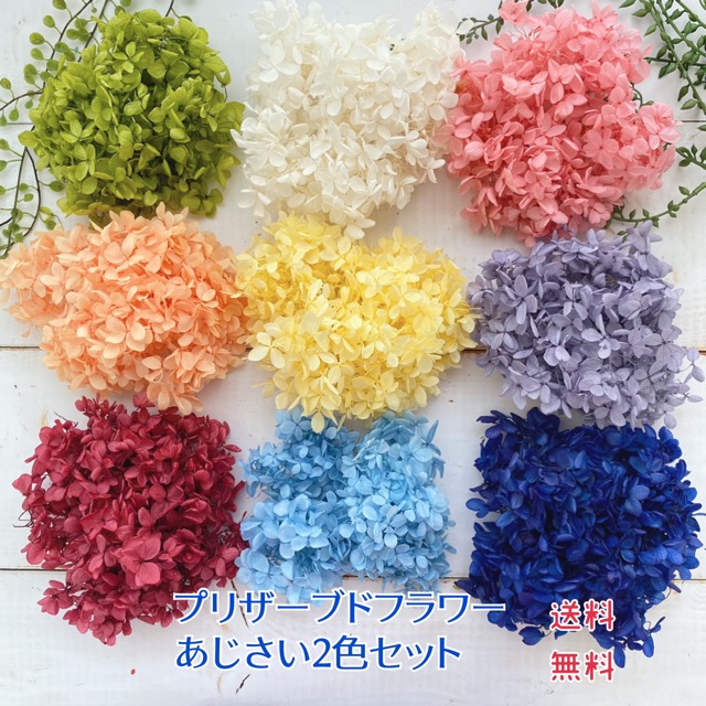 楽天市場】花材8色まとめ買いセット 花材セット キット 全色