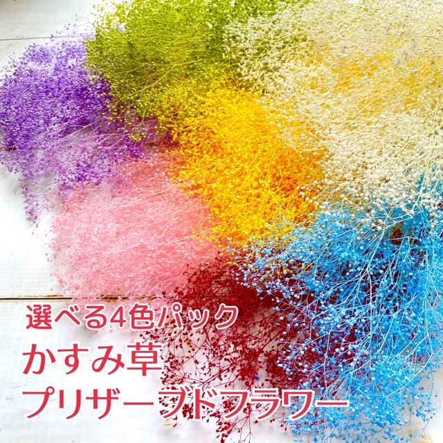 楽天市場】花材8色まとめ買いセット 花材セット キット 全色パック ハーバリウム キャンドル ワックスサシェ フラワーアレンジメント  レジンアクセサリー ボールペン ヘッドパーツ アジサイ かすみ草 プリザーブドフラワー ドライフラワー 大地農園 送料無料 : 雑貨と花の ...