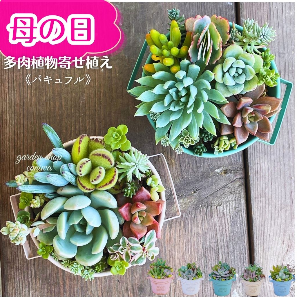 樹種：タモ（柾）粘着テープ付規格：0.5mm厚×20mm巾x10M巻 天然木木口