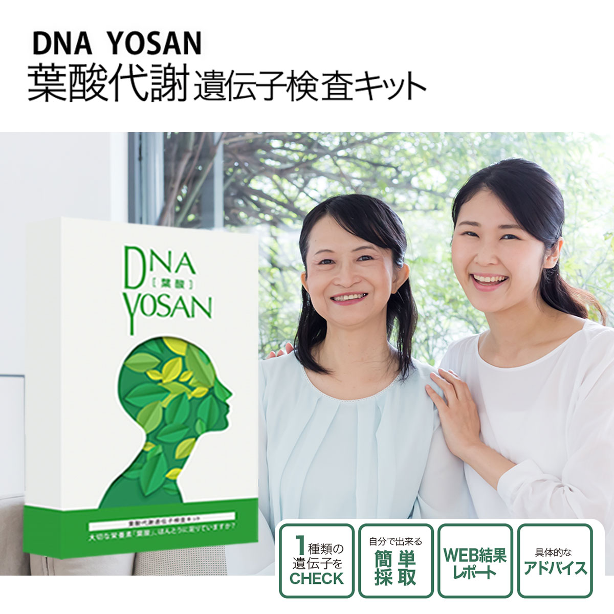 DNA 葉酸代謝遺伝子検査キット 遺伝子検査 葉酸不足 健康診断 ヘルスケア 口腔粘膜用 分析キット ハーセリーズ 遺伝子検査キット