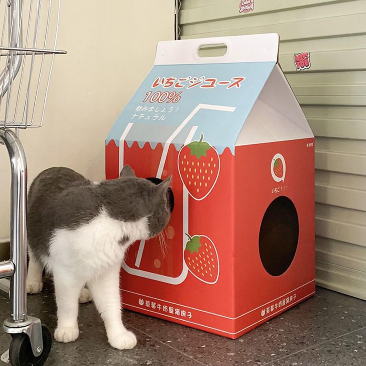 【百貨店SALE】心積もり1 猫 爪研ぎ住み家 爪とぎ キャットハウス 猫 猫 ねこ ダンボール住み家 ダンボール 精神的な統合式 猫用 密集して 通気 耐久性 愛玩動物装置 愛くるしい M にゃんどんぶり鉢 住み家 猫のプレイグランド 猫用