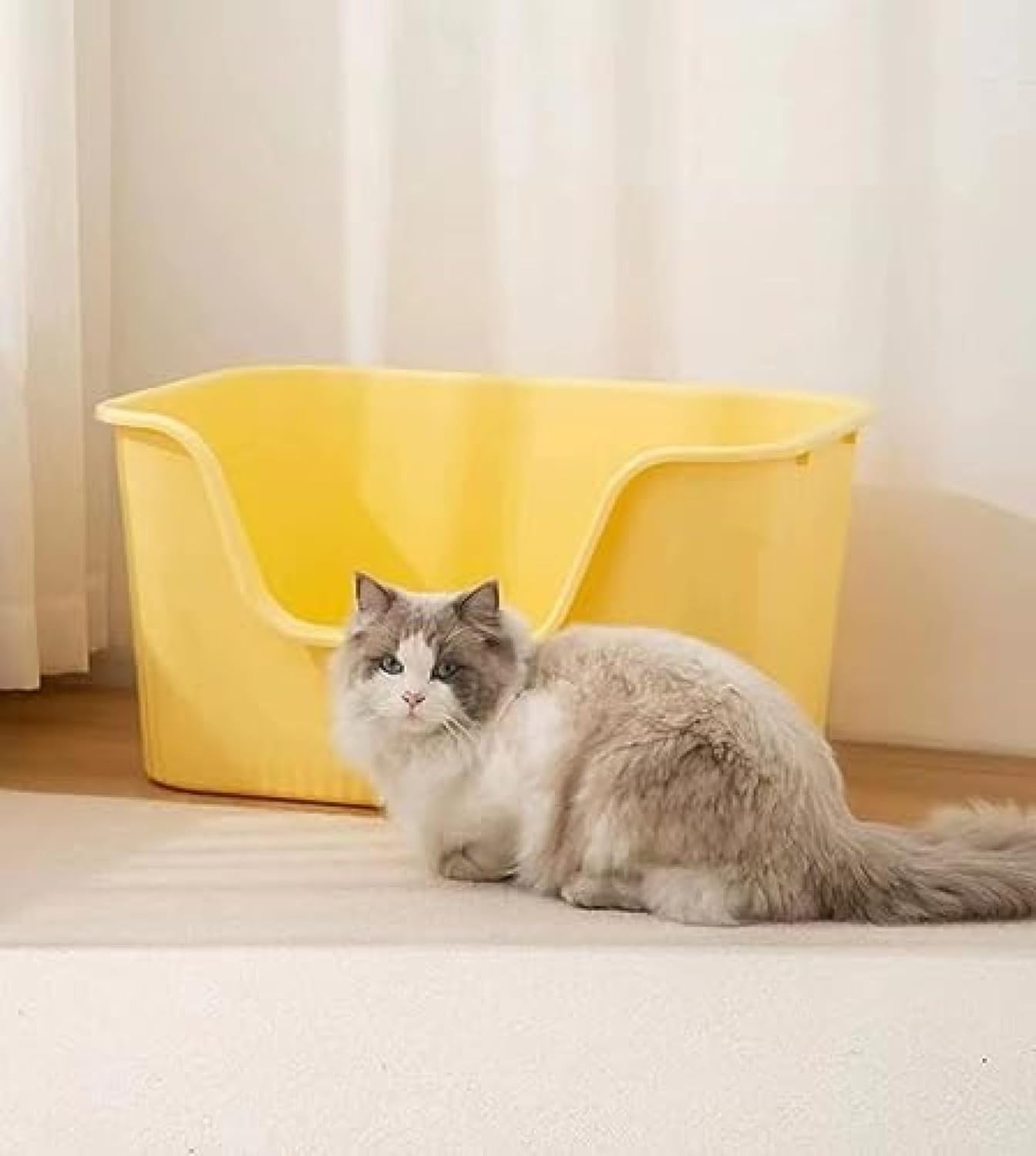 猫トイレ 超大型猫用トイレ 猫 トイレ オープンタイプ 大きい猫 多猫 猫用トイレ本体 簡単掃除 清潔 ねこ トイレ 大きい 飛散防止 一体成形 64Lx33Hx45Wcm｜おとショップ