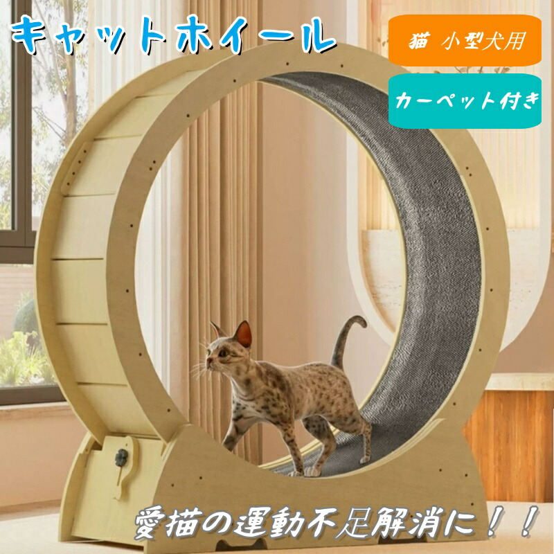 【百貨店SALE】キャットホイール 猫専用お座敷伝令 室内運動すること用 猫 8kgまで トレッドミル 猫 車輪 巻き 自走式 お座敷伝令 回し車 ご覧になる車 安全性のある 運動すること 形づくる 手あそび 駈けっくら 小型犬 愛玩動物装置
