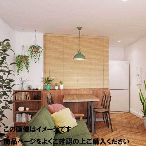 【最大3万円クーポン配布中★17日09:59まで】ウッドブラインド 25mm幅スラットループ操作 幅121~140cm×高さ231~250 [UB25R231-250-121-140] ブラインドカーテン タチカワ 立川機工 メーカー直送 29,658円