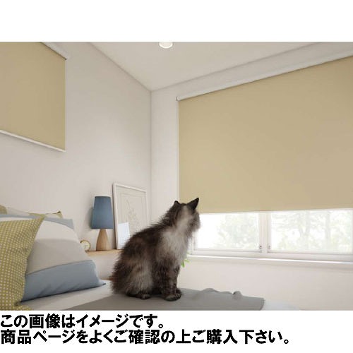 【LINEクーポン配布中】ロールスクリーン シエロン遮光1級 幅25~40×高さ30~90cm [RSHCL25-40-30-90] 立川機工タチカワ 変更キャンセル不可 メーカー直送