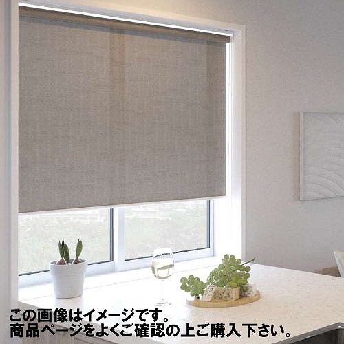 【最大3万円クーポン配布中★10日01:59まで】ロールスクリーン ディアリオウォッシャブル 幅61~90×高さ251~300cm [RSHDW61-90-251-300] 立川機工タチカワ 変更キャンセル不可 メーカー直送