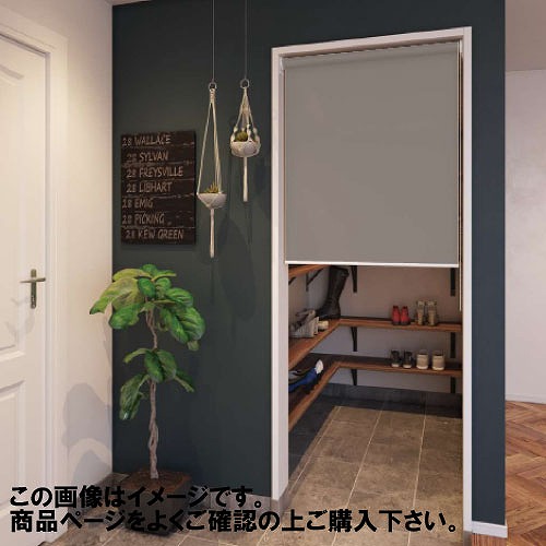 【最大3万円クーポン配布中★10日01:59まで】つっぱりロールスクリーン ディアリオ遮光 幅25~40.9×高さ181~200cm [RSTDS25-409-181-200] 立川機工タチカワ 変更キャンセル不可 メーカー直送