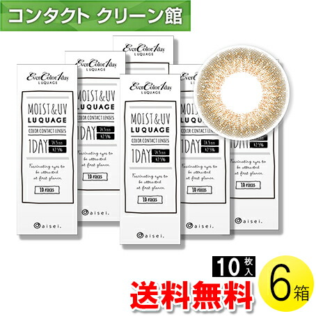 エバーカラーワンデー ルクアージュ グロスアンバー 10枚入×6箱 ( コンタクトレンズ コンタクト 1日使い捨て ワンデー 1day カラコン サークル アイセイ アイレ エバーカラー ヘーゼル 14.5mm 新木優子 10枚入り 6箱セット )