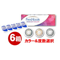 アルコン　フレッシュルックワンデーカラー６箱セット（１箱１０枚入り） (こちらの商品はお取り寄せになります)