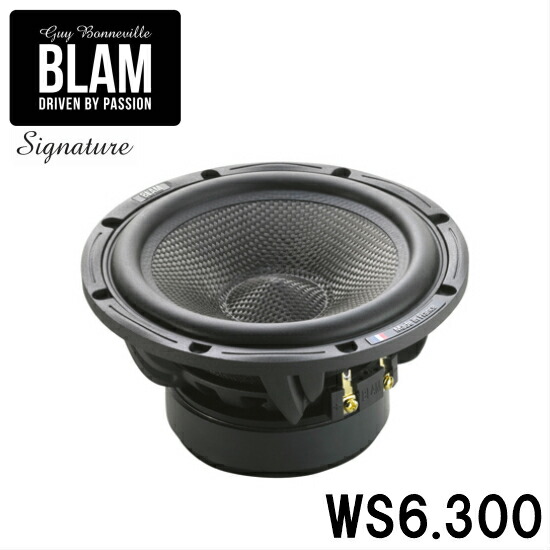 特売 WS6.300165mmカーボンウーファーBLAM ブラム Signature