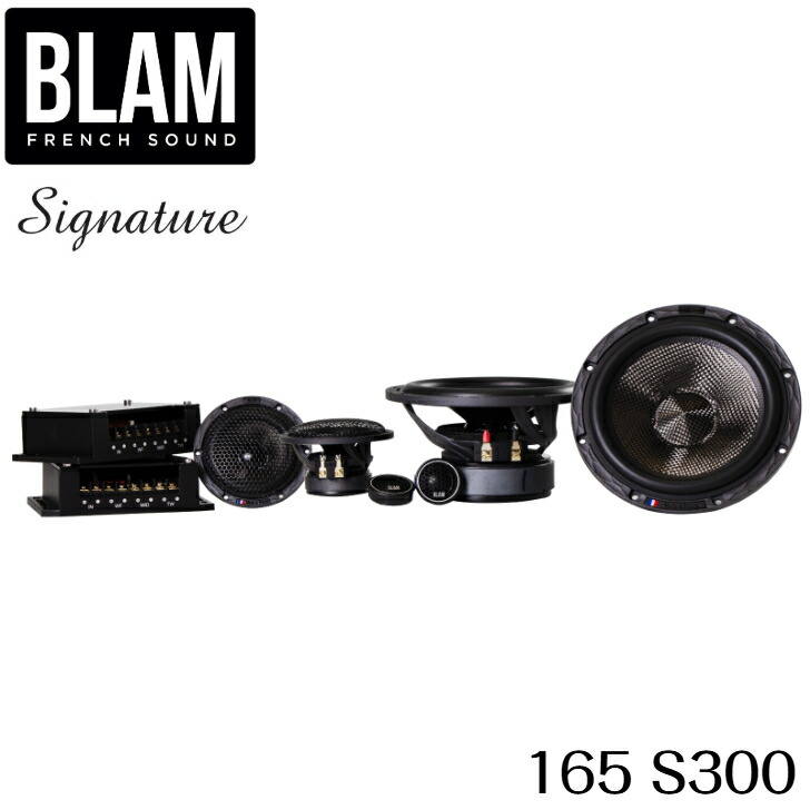 BLAM LIVEシリーズ L165S 2way セパレートスピーカー 楽天市場】【BLAM】ブラム L 165 S LIVEシリーズ 16.5cm薄型2WAY