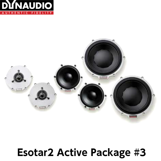 卸し売り購入 DYNAUDIO ディナウディオEsotar2ActivePackage-3エソター