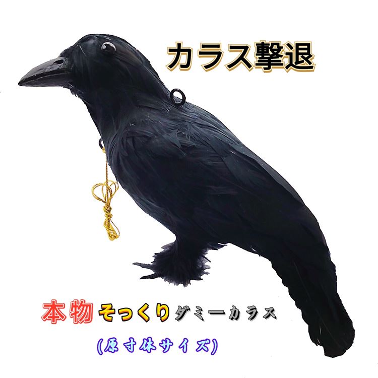 87%OFF!】 ONESORA 鳥よけ 野鳥よけ 鳥追いCD ギラギラディスク 光反射 鳥害対策 鳥撃退 反射板 防鳥グッズ 鳩駆除 ベランダー鳥よけ  畑鳥 sumukoto.com