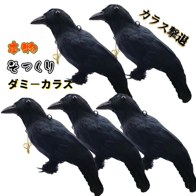 烏よけ 烏追い散らす 【原寸体大きさ 5羽】 烏無くする 烏打つ手 ダミー烏 写実的綿羽 約38×11.5×20珊 烏無くする 鳥害打つ手 黄雀 ムクドリ 鳥よけ 鳥鳥の鳴き声 鳥フン害 鳥巣造営など被害押しとどめる 貨物輸送無料