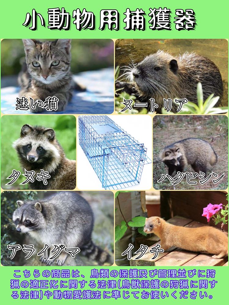 生物召し捕るコンテナ 猫キャッチャー アニマルトラップ 踏み段儀式 システム 取り付け シンプル 保管のどか々 迷子猫 野ら猫護る 農作物足纏い獣被害押し留める イタチ タヌキ ヌートリア ハクビシン アライグマ 捕獲かご 大きサイズ ほぼ79 28 33cm Slavatours Com