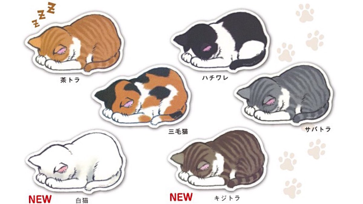 楽天市場 5ごめん寝 マウスパッド137 490ネコ ねこ 猫 雑貨 おしゃれ かわいい 猫好き おすすめ おもしろ イラスト グッズ すまん寝 ゆるして寝 ポーズ プレゼント 雑貨メーカー 直営店舗 クークー