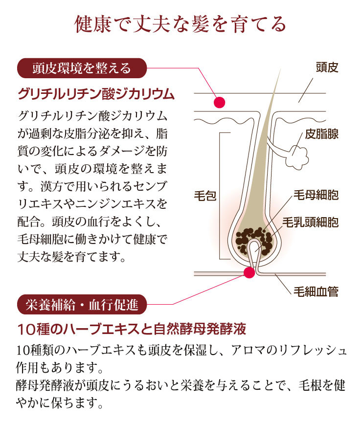 楽天市場 薬用クー スカルプシャンプー 400ml 医薬部外品 ノンシリコン 頭皮 抜け毛 熟撰酵母 日本製 代引き手数料無料 国内自社工場にて製造 管理 発送 満足良品