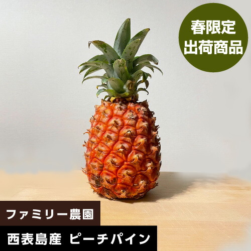 ※代引き不可・日付指定不可※<br>西表島産ピーチパイン 2kg以上(2-3玉)<br>[ファミリー農園]