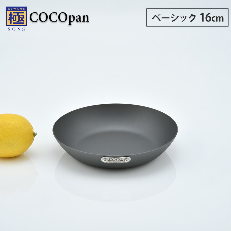 【楽天市場】COCOpan ココパン 鉄鍋 20cm リバーライト river light 