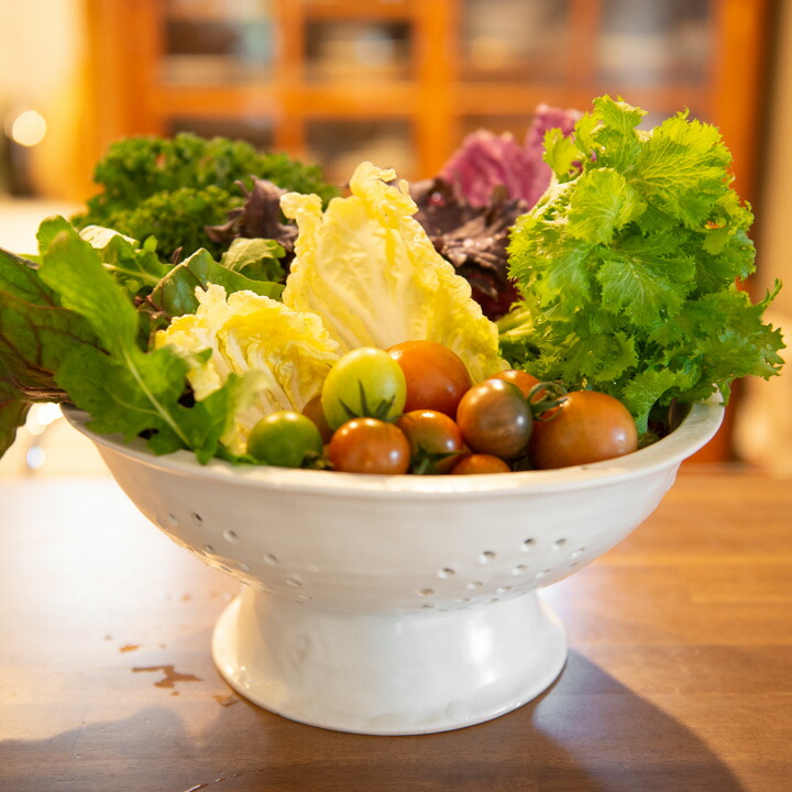 富士ホーロー コランダー ホーロー 22cm【 ほうろう 琺瑯 水切り