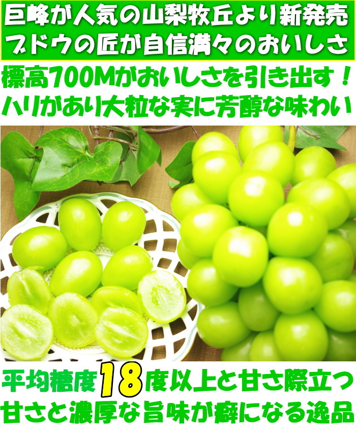 シャインマスカット 約5kg 7房〜11房 ぶどう Yahoo!フリマ（旧）+