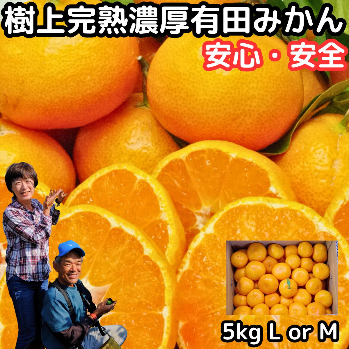 【楽天市場】みかん 和歌山 有田 甘い 美味しい 糖度 3～10kg l or m サイズ 送料無料 有田柑橘さんさん 樹上完熟 早生 温州 ...